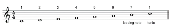 leading note = 7th degree